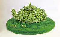 Green Thorns Slip, Thorns , Height 12 cm - Fired 1220°