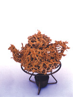 Yellow Thorns , Slip, Thorns, Height 20 cm, Fired - 1220°