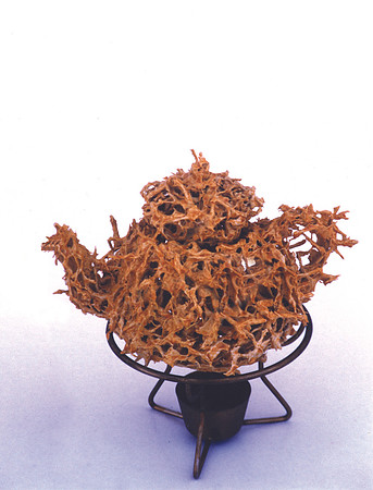Yellow Thorns , Slip, Thorns, Height 20 cm, Fired - 1220°